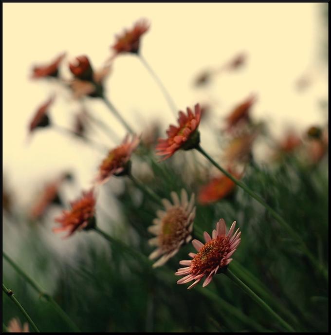 Lorem ipsum dolor sit amet, consectetur adipiscing elit.