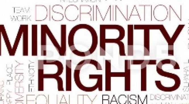 National Minorities’ Rights: International and Domestic Dimensions. Briefing